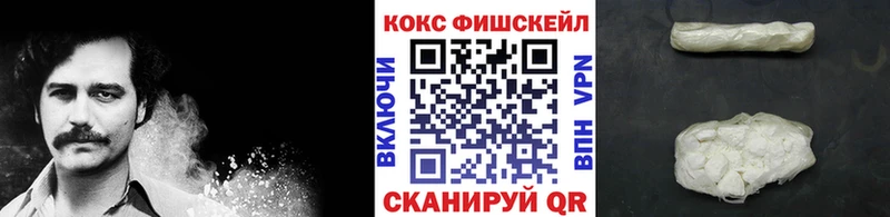 Cocaine 99%  закладки  Ветлуга 