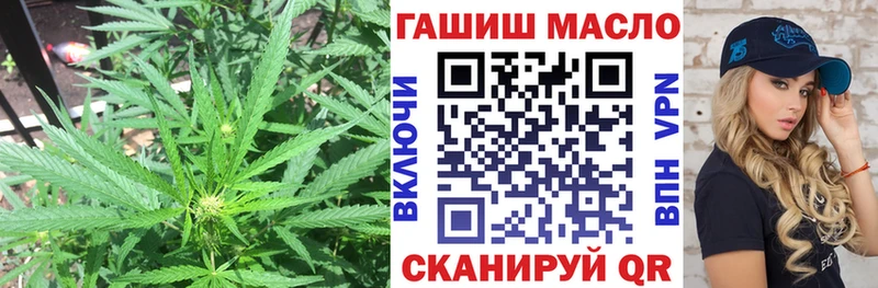 Дистиллят ТГК концентрат Ветлуга