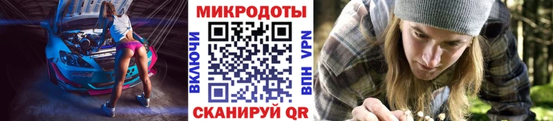 Галлюциногенные грибы Magic Shrooms  сайты даркнета официальный сайт  Ветлуга 